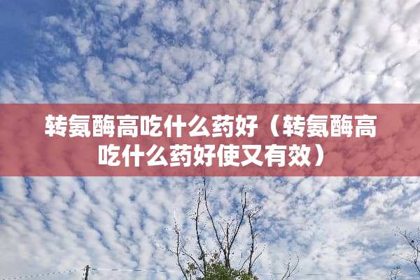 转氨酶高吃什么药好（转氨酶高吃什么药好使又有效）