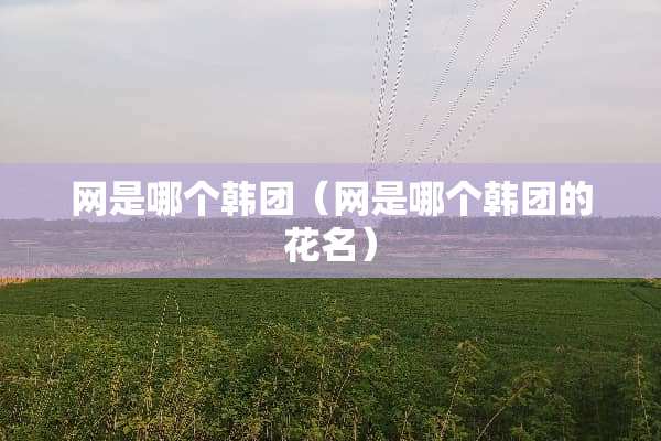 网是哪个韩团（网是哪个韩团的花名）
