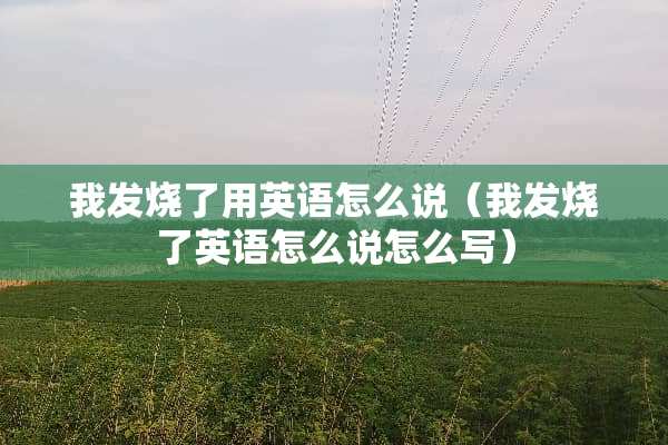 我发烧了用英语怎么说（我发烧了英语怎么说怎么写）