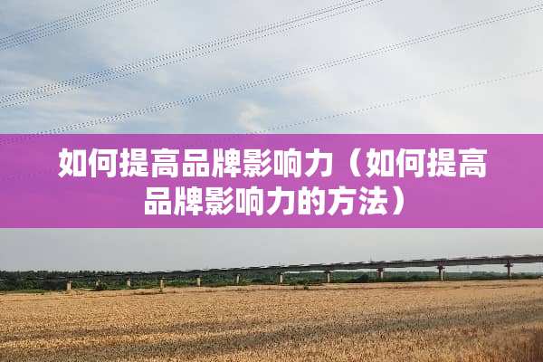 如何提高品牌影响力（如何提高品牌影响力的方法）