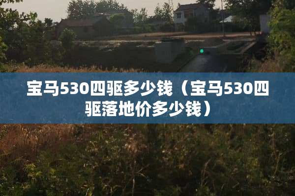 宝马530四驱多少钱（宝马530四驱落地价多少钱）