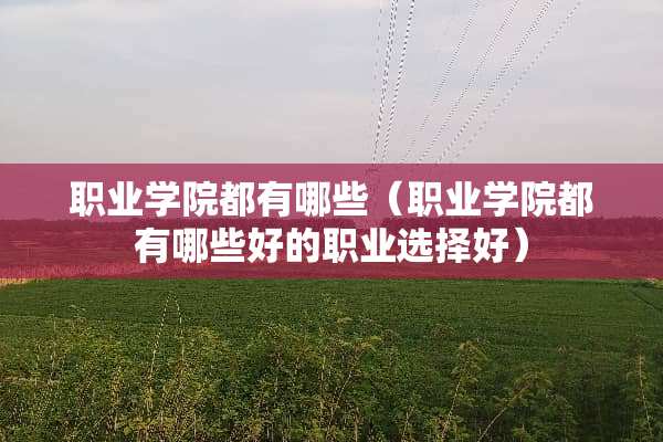 职业学院都有哪些（职业学院都有哪些好的职业选择好）