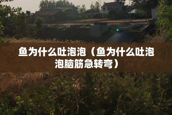 鱼为什么吐泡泡（鱼为什么吐泡泡脑筋急转弯）