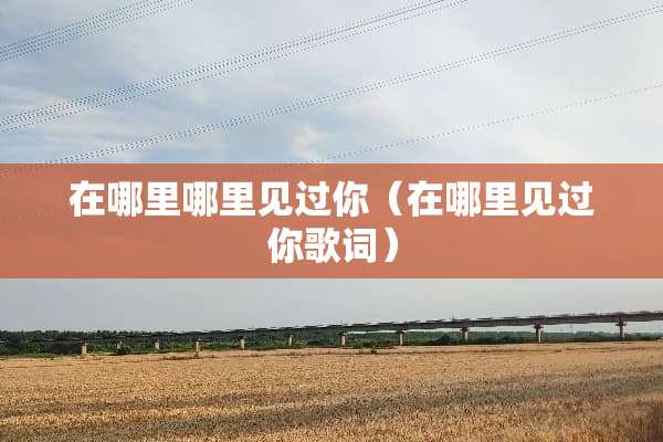 在哪里哪里见过你（在哪里见过你歌词）