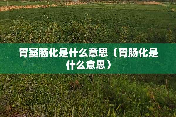 胃窦肠化是什么意思（胃肠化是什么意思）