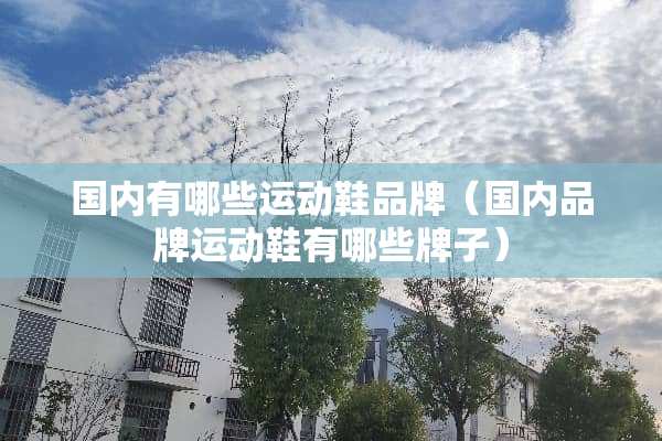 国内有哪些运动鞋品牌（国内品牌运动鞋有哪些牌子）