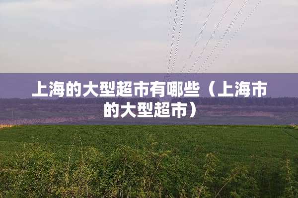 上海的大型超市有哪些（上海市的大型超市）