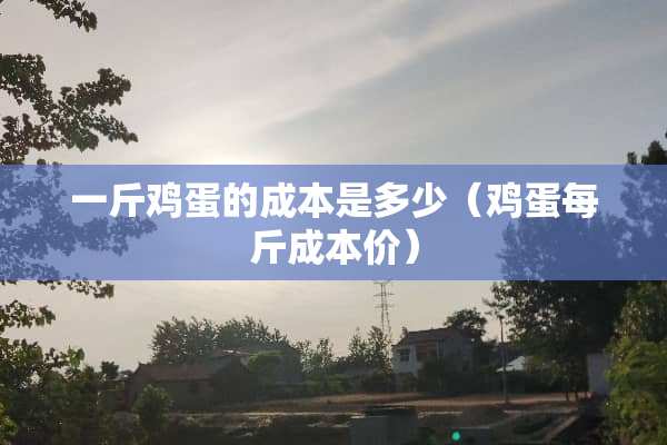 一斤鸡蛋的成本是多少（鸡蛋每斤成本价）