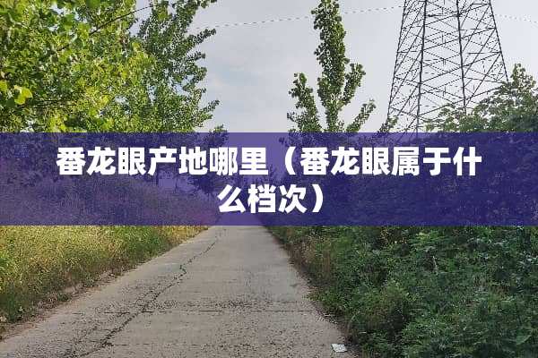 番龙眼产地哪里（番龙眼属于什么档次）