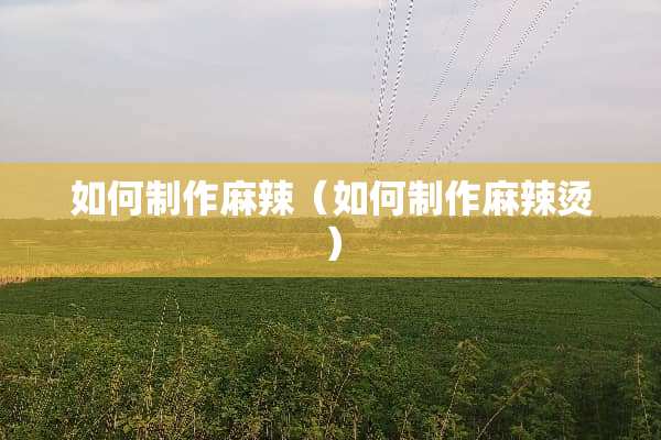 如何制作麻辣（如何制作麻辣烫）
