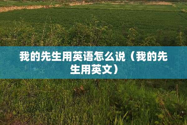 我的先生用英语怎么说（我的先生用英文）