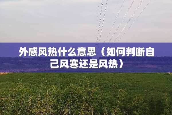 外感风热什么意思（如何判断自己风寒还是风热）