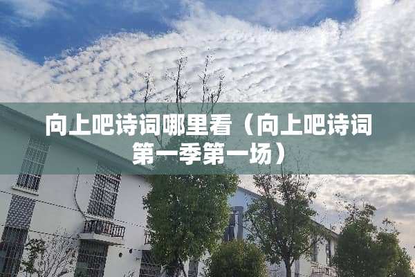 向上吧诗词哪里看（向上吧诗词第一季第一场）