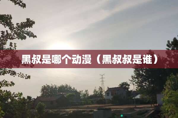 黑叔是哪个动漫（黑叔叔是谁）