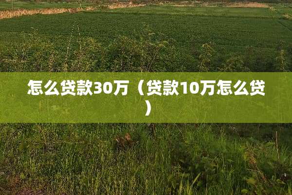 怎么贷款30万（贷款10万怎么贷）