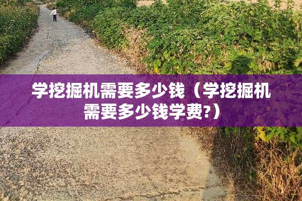 学挖掘机需要多少钱（学挖掘机需要多少钱学费?）