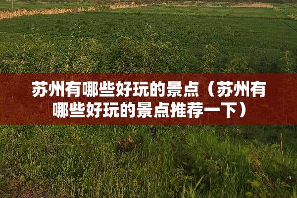 苏州有哪些好玩的景点（苏州有哪些好玩的景点推荐一下）