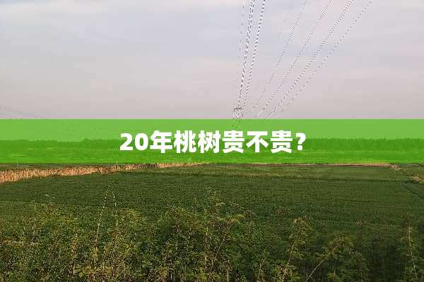 20年桃树贵不贵？
