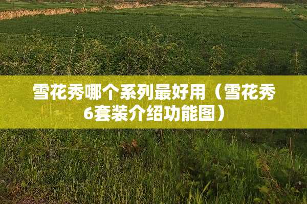 雪花秀哪个系列最好用（雪花秀6套装介绍功能图）