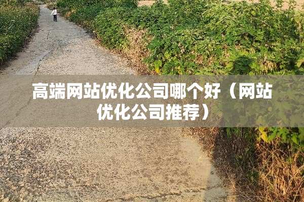 高端网站优化公司哪个好（网站优化公司推荐）