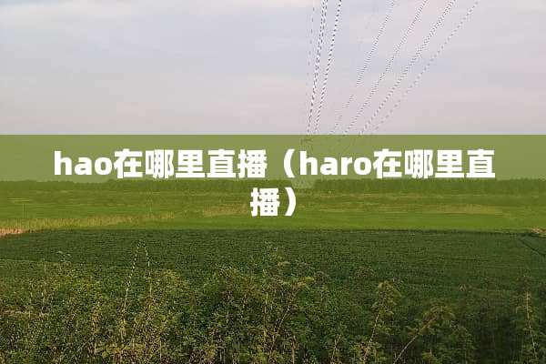 hao在哪里直播（haro在哪里直播）
