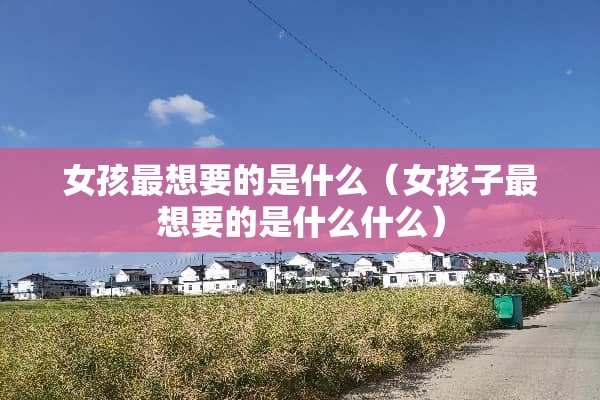 女孩最想要的是什么（女孩子最想要的是什么什么）