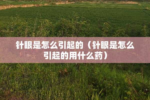针眼是怎么引起的（针眼是怎么引起的用什么药）