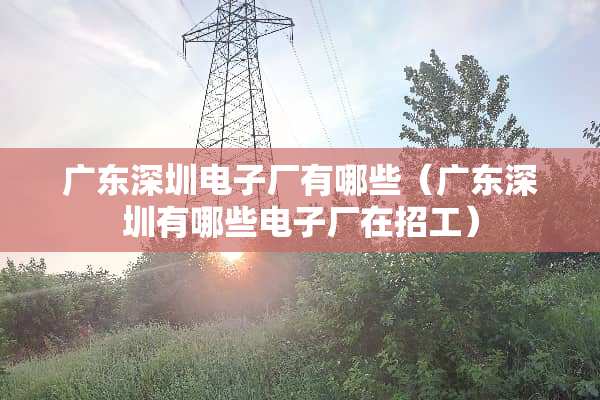 广东深圳电子厂有哪些（广东深圳有哪些电子厂在招工）