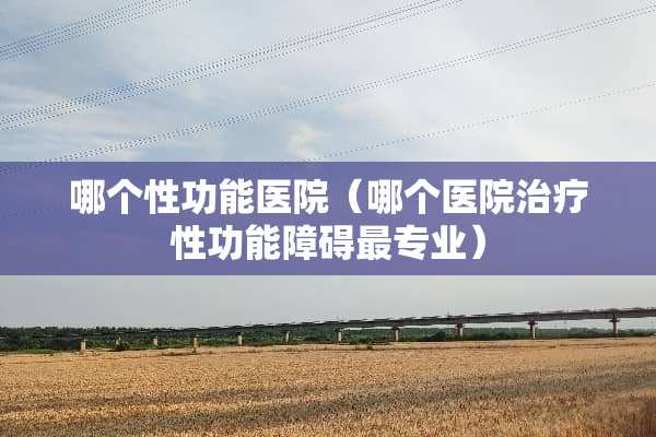 哪个性功能医院（哪个医院治疗性功能障碍最专业）