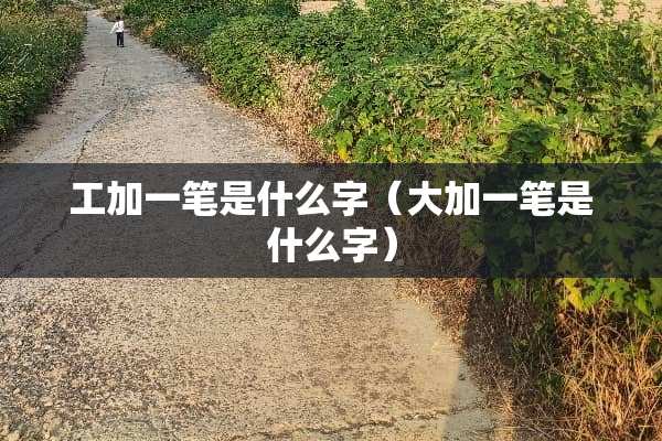 工加一笔是什么字（大加一笔是什么字）