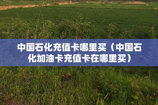 中国石化充值卡哪里买（中国石化加油卡充值卡在哪里买）