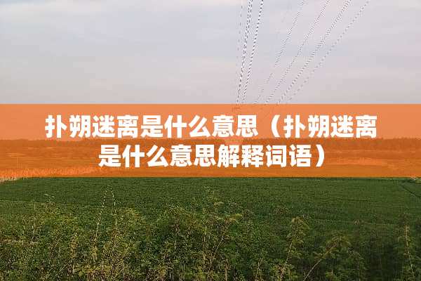 扑朔**是什么意思（扑朔**是什么意思解释词语）