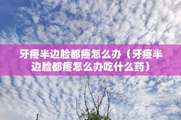 牙疼半边脸都疼怎么办（牙疼半边脸都疼怎么办吃什么药）