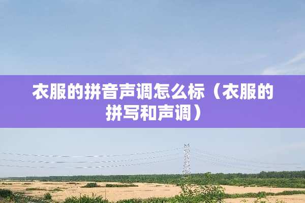 衣服的拼音声调怎么标（衣服的拼写和声调）