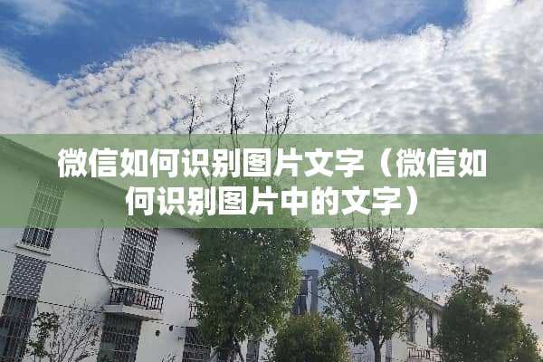 微信如何识别图片文字（微信如何识别图片中的文字）