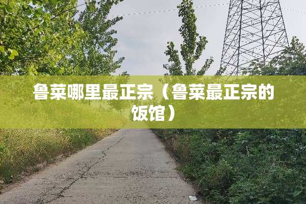 鲁菜哪里最正宗（鲁菜最正宗的饭馆）