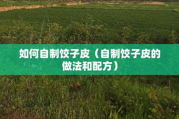 如何自制饺子皮（自制饺子皮的做法和配方）