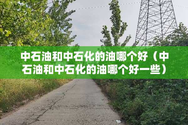 中石油和中石化的油哪个好（中石油和中石化的油哪个好一些）