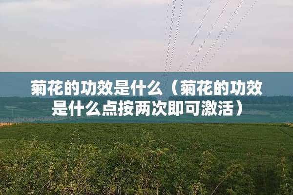 菊花的功效是什么（菊花的功效是什么点按两次即可激活）