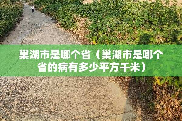 巢湖市是哪个省（巢湖市是哪个省的病有多少平方千米）