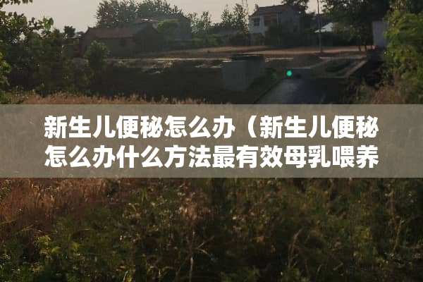 新生儿便秘怎么办（新生儿便秘怎么办什么方法最有效母*喂养）