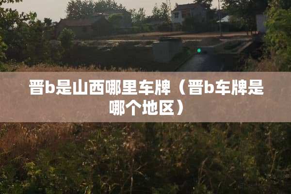 晋b是山西哪里车牌（晋b车牌是哪个地区）