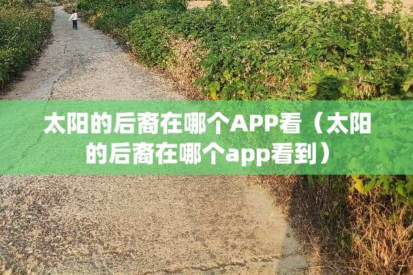 太阳的后裔在哪个APP看（太阳的后裔在哪个app看到）