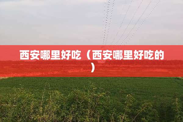 西安哪里好吃（西安哪里好吃的）