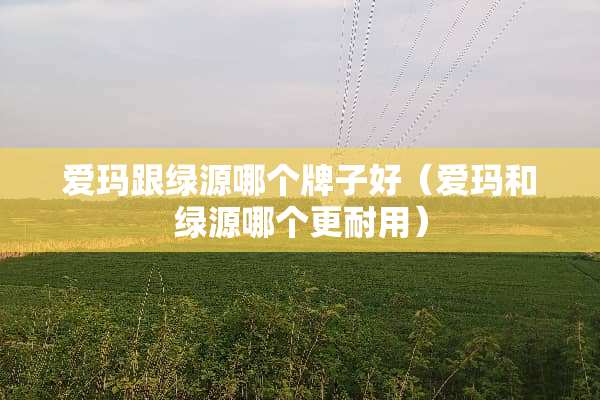 爱玛跟绿源哪个牌子好（爱玛和绿源哪个更耐用）