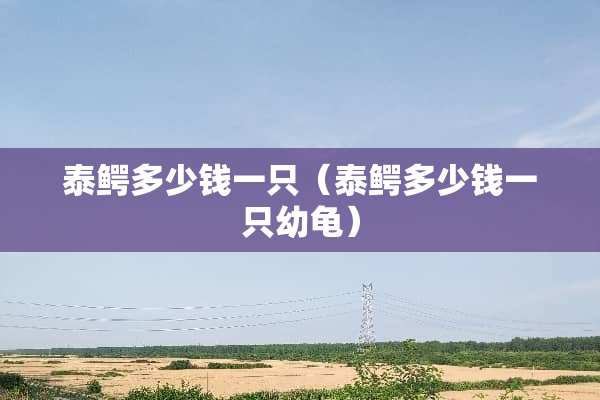 泰鳄多少钱一只（泰鳄多少钱一只幼龟）