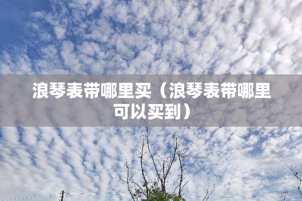 浪琴表带哪里买（浪琴表带哪里可以买到）