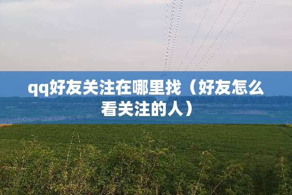 qq好友关注在***（好友怎么看关注的人）