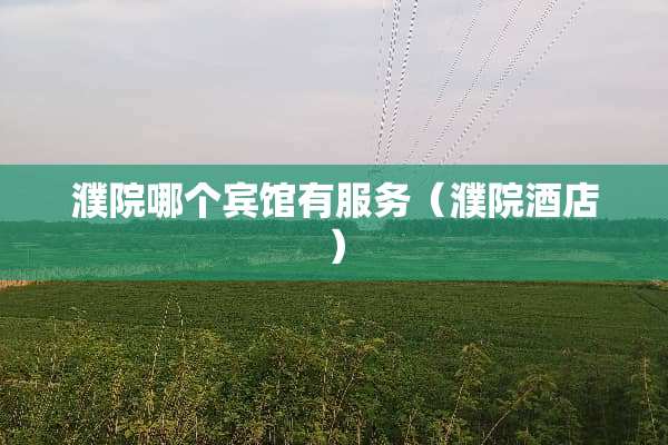 濮院哪个宾馆有服务（濮院酒店）