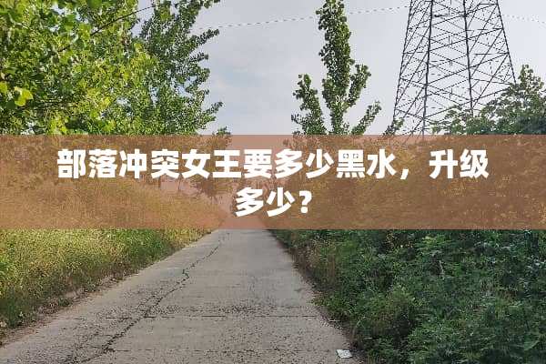 部落冲突女王要多少黑水，升级多少？